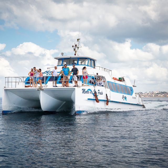 Catamarã Salvador ↔ Morro de São Paulo